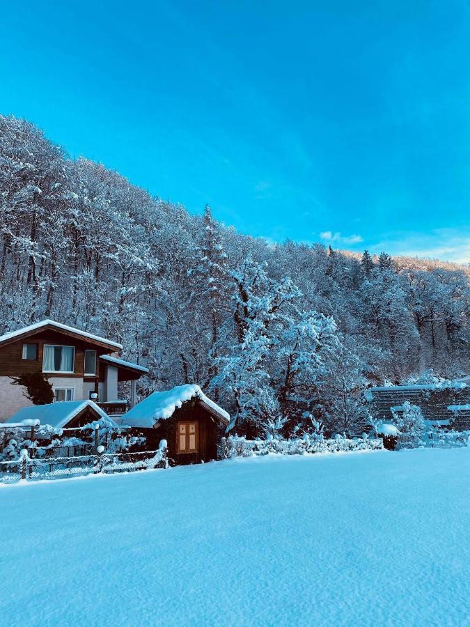 Chalet Happy Family, Secluded Location, 15 Min To Salzburg And Just Short To T Lakes Sound Of Music, Bbq&Bikes&Sunbeds For Free, Up To 14P Golling an der Salzach Exterior foto